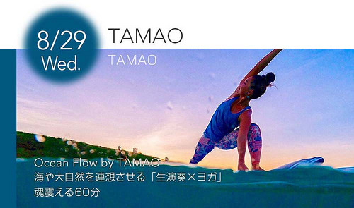 8月29日(水)　TAMAO
