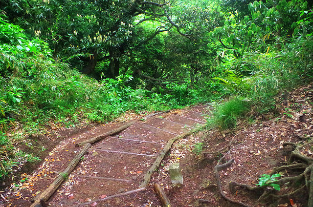 toomilog-tengoku_Hiking_trail019