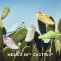 MEXICO 66™ CACTFUL™