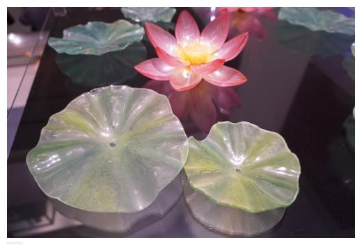 女子美術大学工芸専攻卒業・修了制作展2023展示作品