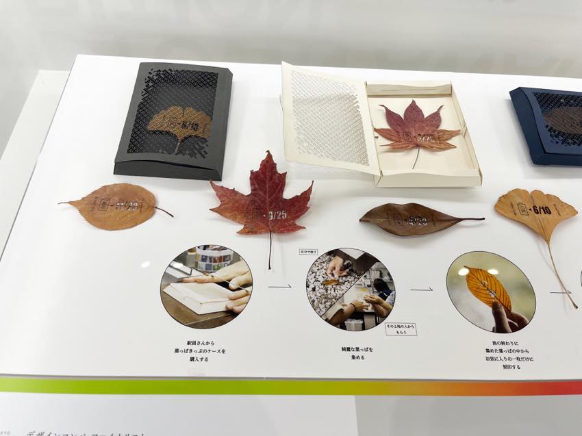 葉っぱきっぷ OCHIBA 松尾一輝 菅﨑瑞希