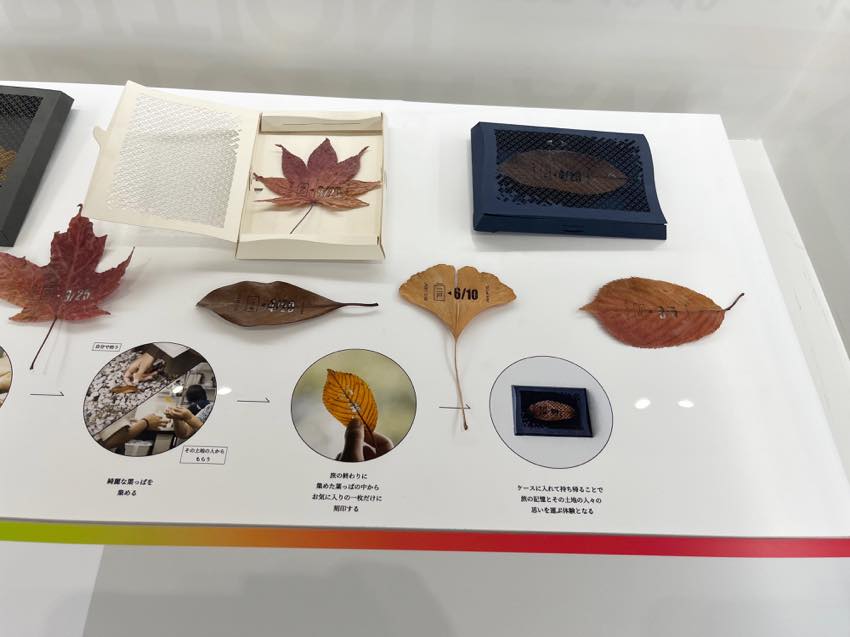 葉っぱきっぷ OCHIBA 松尾一輝 菅﨑瑞希